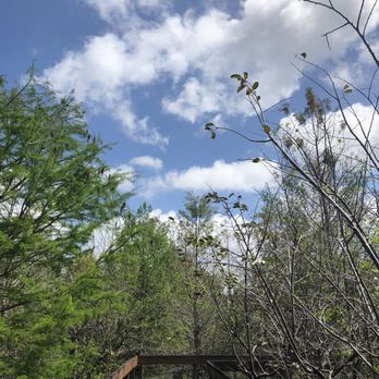 Daggerwing Nature Center - Parks Near Me - Boca Raton, Florida