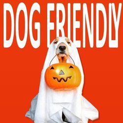 Arizona Pumpkin Patch - Dog Friendly Pumpkin Patch. Free Admission To Pumpkin Patch, Corn stalks, Carving Kits,