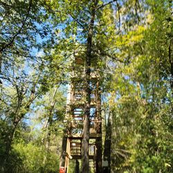 Adventureworks Hot Springs