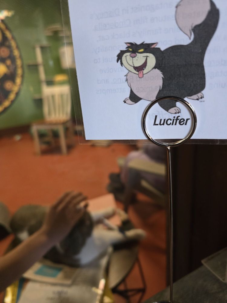 Coffee and the Cats Logo