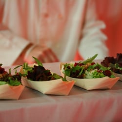 Waiter's Choice Catering