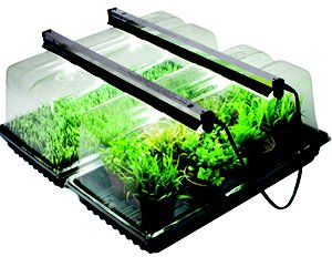 Harvest Moon Hydroponics by null