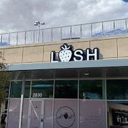 Berry Lash Lounge