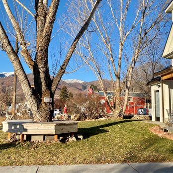 Judy's Donuts & Coffee - Seating around the tree - Donuts Near Me - Midway, Utah