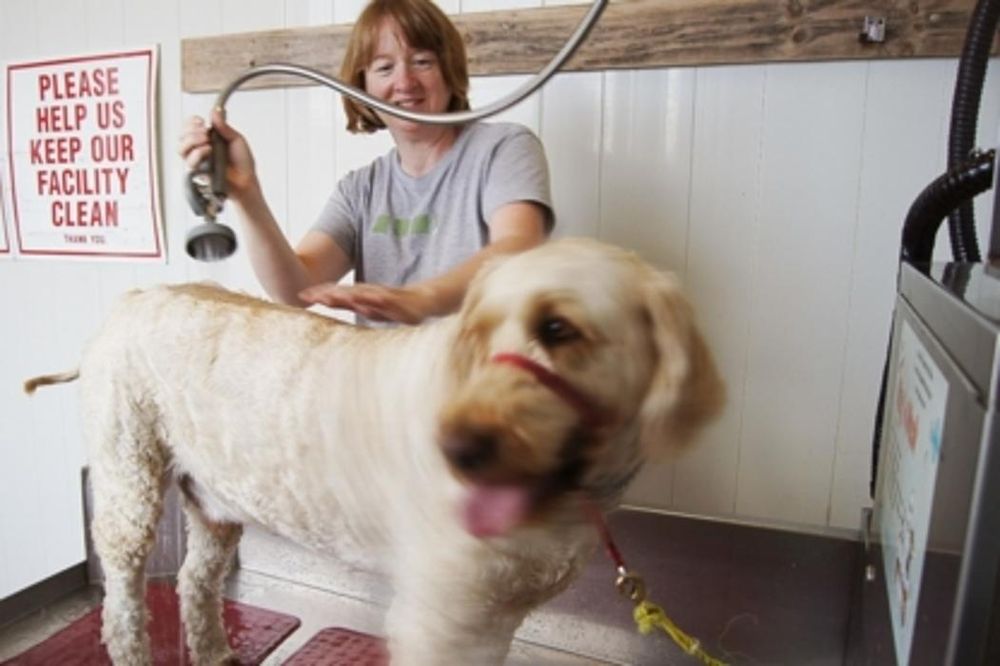 DON MCNEILL’S 24 HR TOWING Updated July 2024 18 Photos 707 Highway 2, Elmsdale, Nova