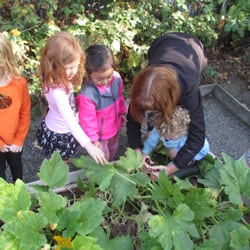 Village Tree Preschool