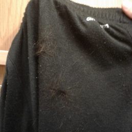 They didn't even clean the hair on the sit. I got hair all over my pants. Jesus Christ!!!!