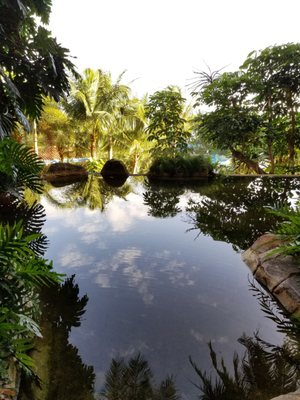 Pacific Islands Club Guam by null