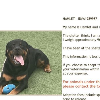 LA Animal Services - Animal Shelters Near Me - Los Angeles, California