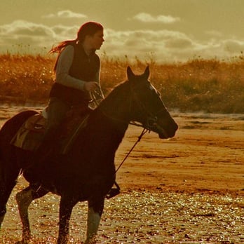 Saltwater Farm - sunset ride - Horseback Riding Near Me - South Chatham, Massachusetts Saltwater Farm - sunset ride - Horseback Riding Near Me - South Chatham, Massachusetts