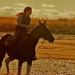 Saltwater Farm - Sunset ride
