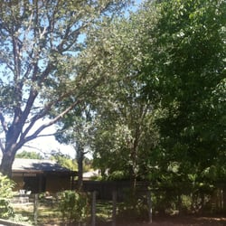 Hecker's Coastal Tree Care