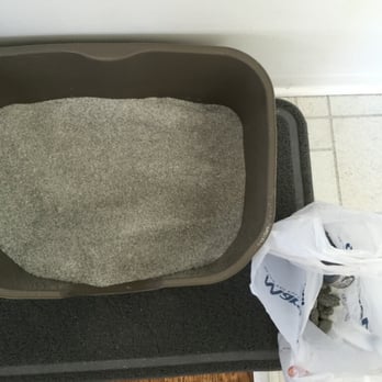 Fancy Tails - What a clean litter box! - Dog Walkers Near Me - Hermosa Beach, California