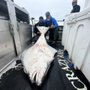 Photo of Fee’s Custom Seafoods