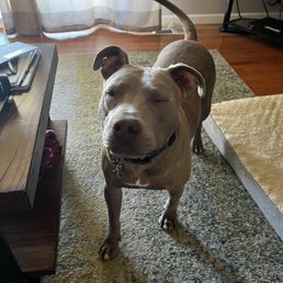Buddy my pit. Great, very smart guy. Buddy my pit. Great, very smart guy.