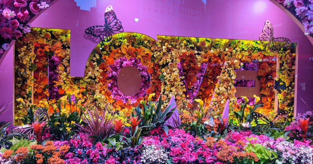 MACY’S FLOWER SHOW Updated May 2024 803 Photos & 34 Reviews 100