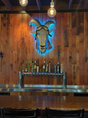 The Flying Goat by null