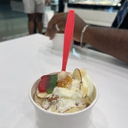 Original Tart Frozen Yogurt