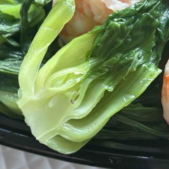 Panda House - D9. Steamed Baby Bok Choy with Protein - Chinese Near Me - Island Park, New York