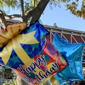 Dollar Tree - 2 cute balloons for $2. Gotta love the dollar store. - Discount Store Near Me - Chino Hills, California Dollar Tree - 2 cute balloons for $2. Gotta love the dollar store. - Discount Store Near Me - Chino Hills, California