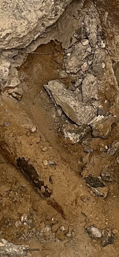 Slide of Lucky's Sewer & Drain