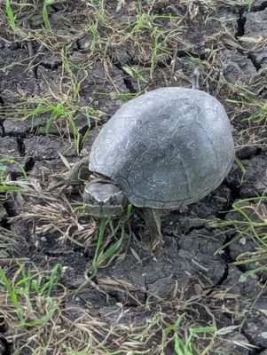 Bethany Lakes Park by null