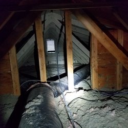 Absolute Pest Control - If your attic looks like this, you have an older home