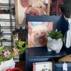 Green Gables Home Store gift card