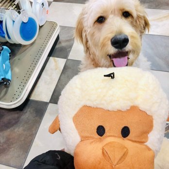 Mud Bay - Smile baby!!! - Pet Stores Near Me - Seattle, Washington