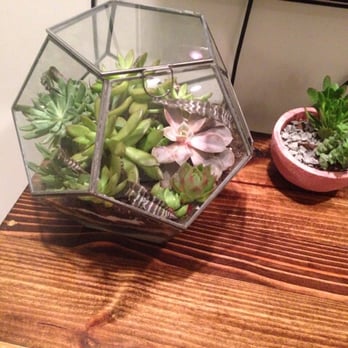 Plant Party - Florists Near Me - Austin, Texas