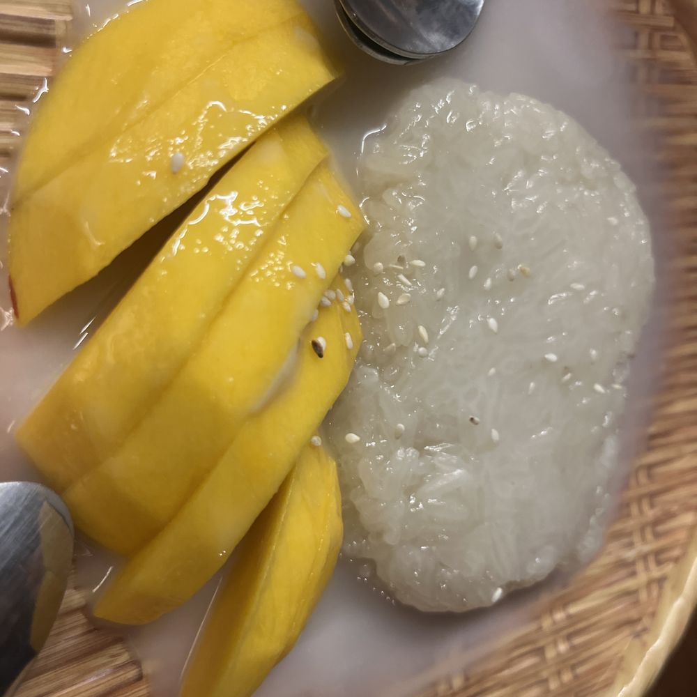 Koracha Thai Restaurant - Mango with Sticky Rice - Thai Near Me - Bedford, Texas Koracha Thai Restaurant - Mango with Sticky Rice - Thai Near Me - Bedford, Texas