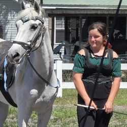 Hermanns' Royal Lipizzan Stallions