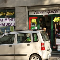 Pet Shop Garden