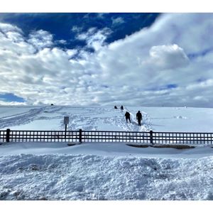 Palmisano Park on Yelp