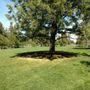 Photo of Blakely Park