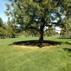 Blakely Park
