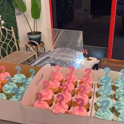Gender Reveal