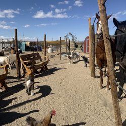 Cascade Trails Mustang Sanctuary - Idyllic bliss
