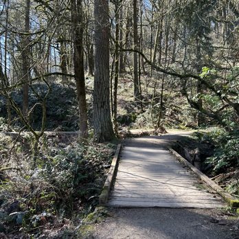 Forest Park - Trail - Parks Near Me - Portland, Oregon