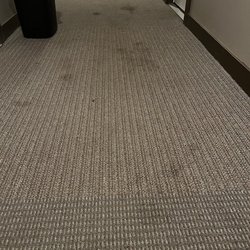 GrandView Flats and Townhomes - Going on 4+ years without carpet cleaning or spot cleaning.