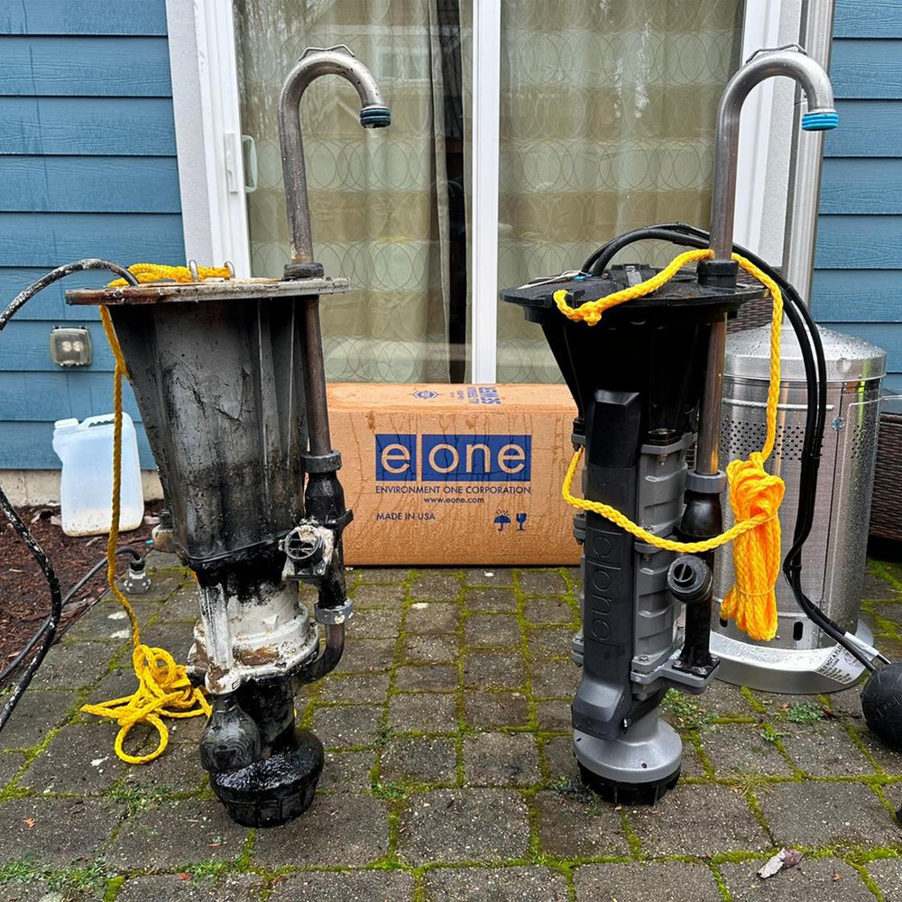 Slide of Ready Rooter