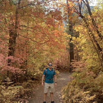 West Fork Trail - Fall colors - Hiking Near Me - Sedona, Arizona