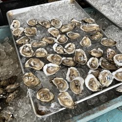 Austin Oyster Festival