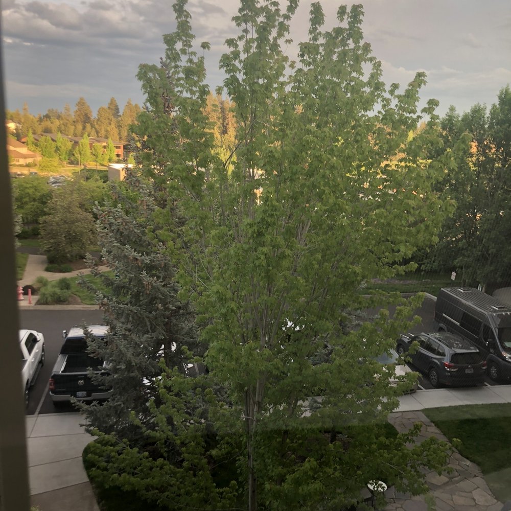 Hilton Garden Inn Bend - Lots of trees - Hotels Near Me - Bend, Oregon Hilton Garden Inn Bend - Lots of trees - Hotels Near Me - Bend, Oregon