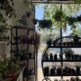 displays of plants & propagation going on