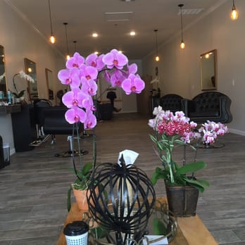 The Social Parlour - View from the entrance/ waiting area. - Hair Stylists Near Me - Los Angeles, California The Social Parlour - View from the entrance/ waiting area. - Hair Stylists Near Me - Los Angeles, California