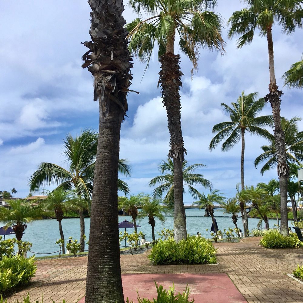 Hawaii Kai Towne Center - Look at all those palm trees - Shopping Centers Near Me - Honolulu, Hawaii Hawaii Kai Towne Center - Look at all those palm trees - Shopping Centers Near Me - Honolulu, Hawaii