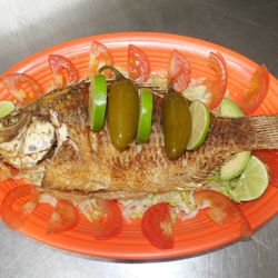El Mazatlan - Mojarra