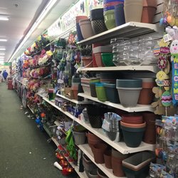 Dollar Tree