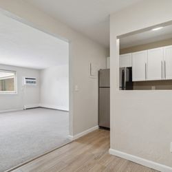 Mansfield Meadows - Empty Living Room
